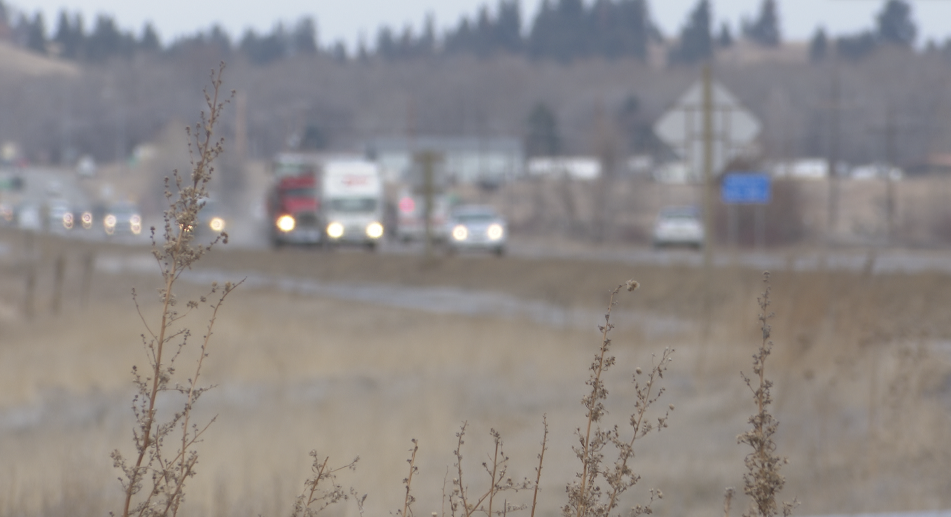Highway 93 safety discussion ignites after another tragedy - Vimarsana News